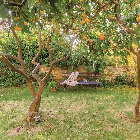 Apartamento 1 Bedroom Stunning In *