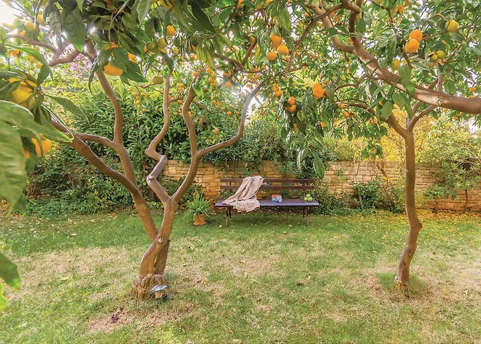 Appartamento 1 Bedroom Stunning In *