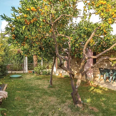 Apartamento 1 Bedroom Stunning In *