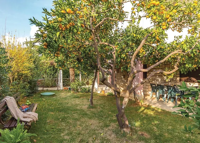 Apartment 1 Bedroom Stunning In *